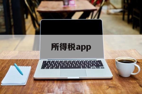 所得税app(个人所得税app正版官方下载)