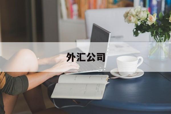 外汇公司(外汇公司开户)